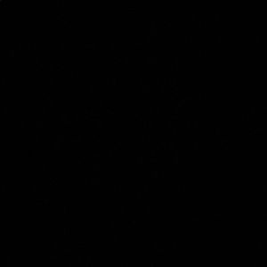 Meet your Posher, Donald